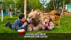 A Russian couple and an orphan bear living together