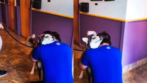 The dog sees his owner 3 years later and yells for joy